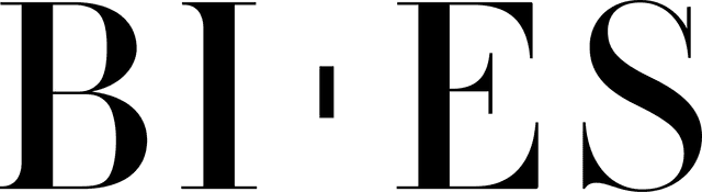 BI-ES | Fabio Verso logo
